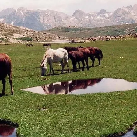 Résidence U Melu Grand T2 Bleu En Rez De Jardin * Tiuccia