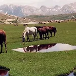 Résidence U Melu Grand T2 Bleu En Rez De Jardin * Tiuccia