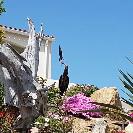 Apartmán U Melu Grand T2 Bleu En Rez De Jardin Tiuccia