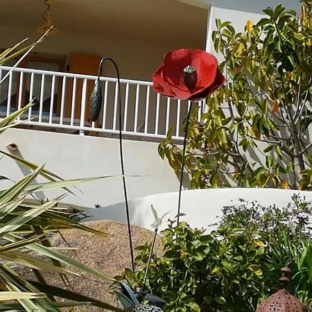 Apartment U Melu Grand T2 Bleu En Rez De Jardin Tiuccia