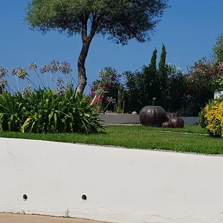 U Melu Grand T2 Bleu En Rez De Jardin Apartment Tiuccia