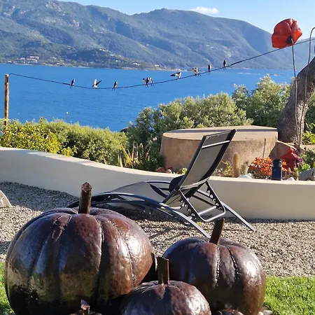 Résidence U Melu Grand T2 Bleu En Rez De Jardin Tiuccia