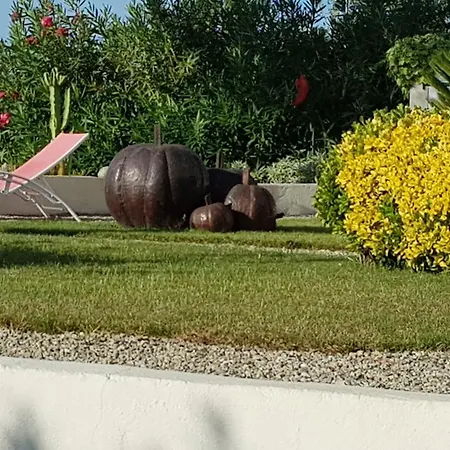 Résidence U Melu Grand T2 Bleu En Rez De Jardin Tiuccia