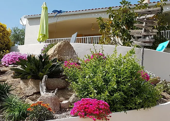 Résidence U Melu Grand T2 Bleu En Rez De Jardin * Tiuccia