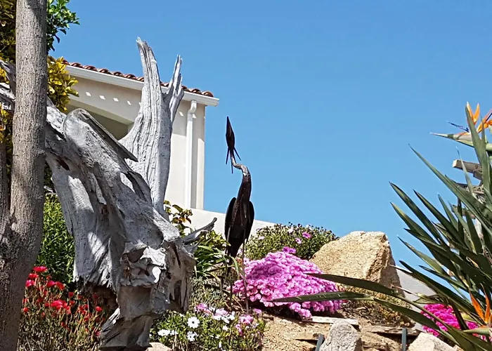 Appartement Résidence U Melu Grand T2 Bleu En Rez De Jardin Tiuccia