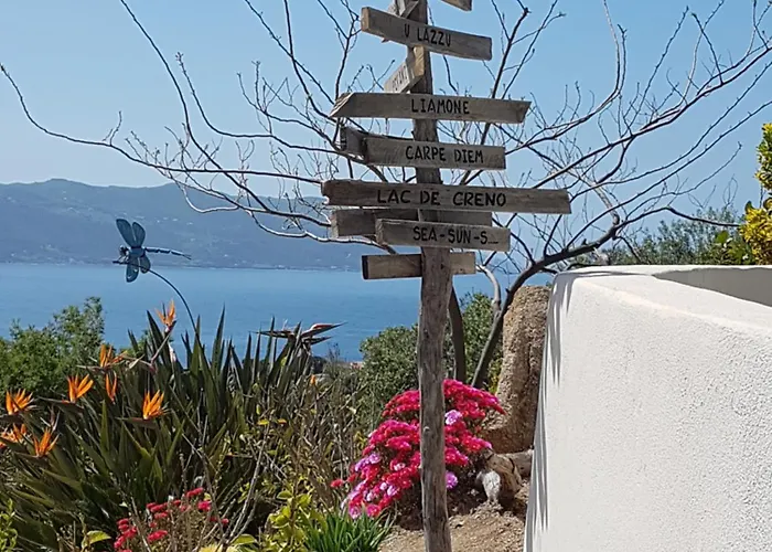 Appartement Résidence U Melu Grand T2 Bleu En Rez De Jardin *