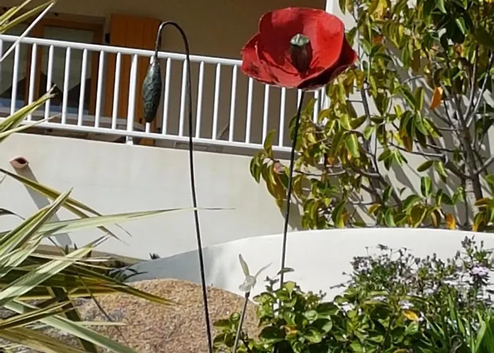 Appartement Résidence U Melu Grand T2 Bleu En Rez De Jardin Tiuccia