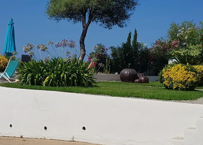 Résidence U Melu Grand T2 Bleu En Rez De Jardin Appartement Tiuccia