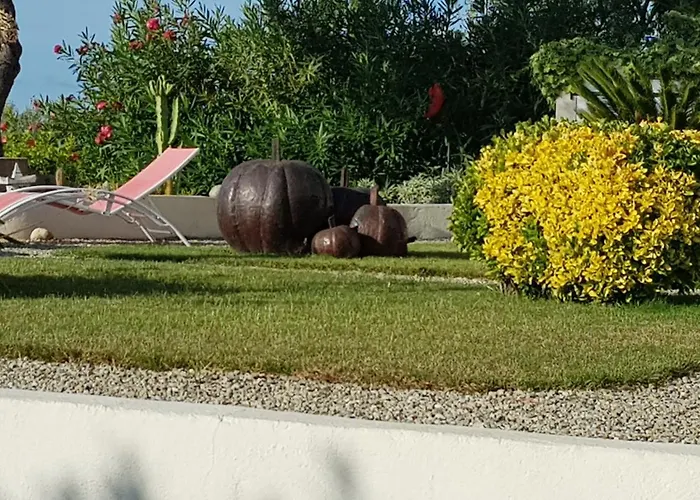 Résidence U Melu Grand T2 Bleu En Rez De Jardin Tiuccia