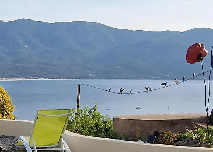 Résidence U Melu Grand T2 Bleu En Rez De Jardin Tiuccia