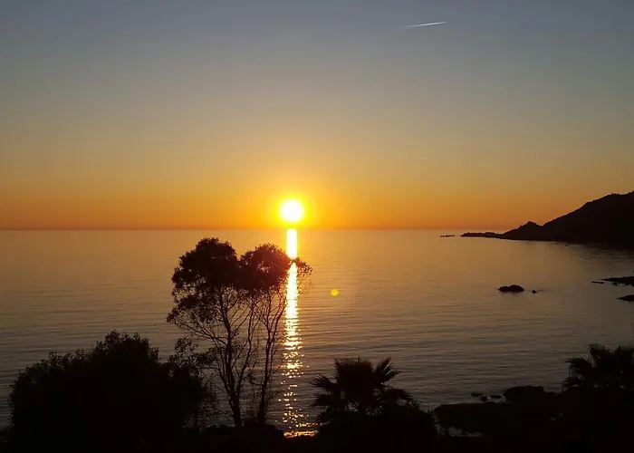 Résidence U Melu Grand T2 Bleu En Rez De Jardin Appartement