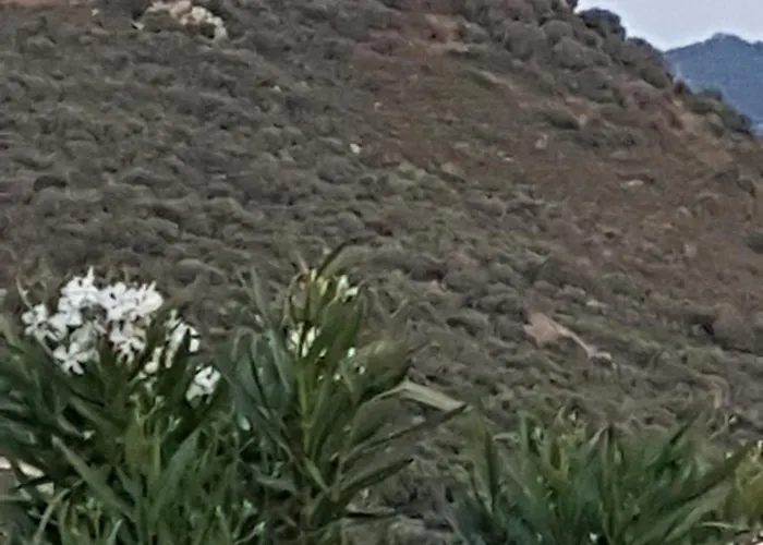 Appartement Résidence U Melu Grand T2 Bleu En Rez De Jardin