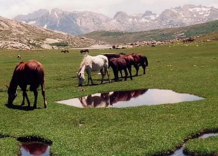 Résidence U Melu Grand T2 Bleu En Rez De Jardin * Tiuccia