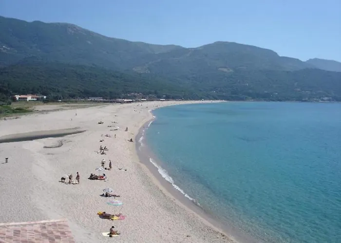 Résidence U Melu Grand T2 Bleu En Rez De Jardin Tiuccia
