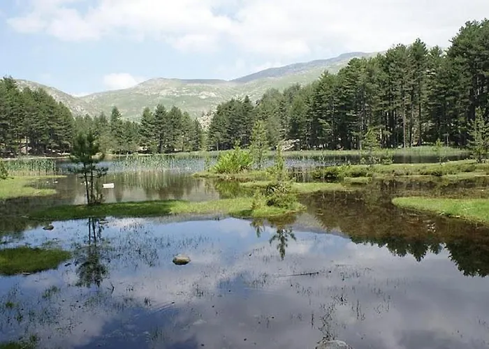 Appartement Résidence U Melu Grand T2 Bleu En Rez De Jardin